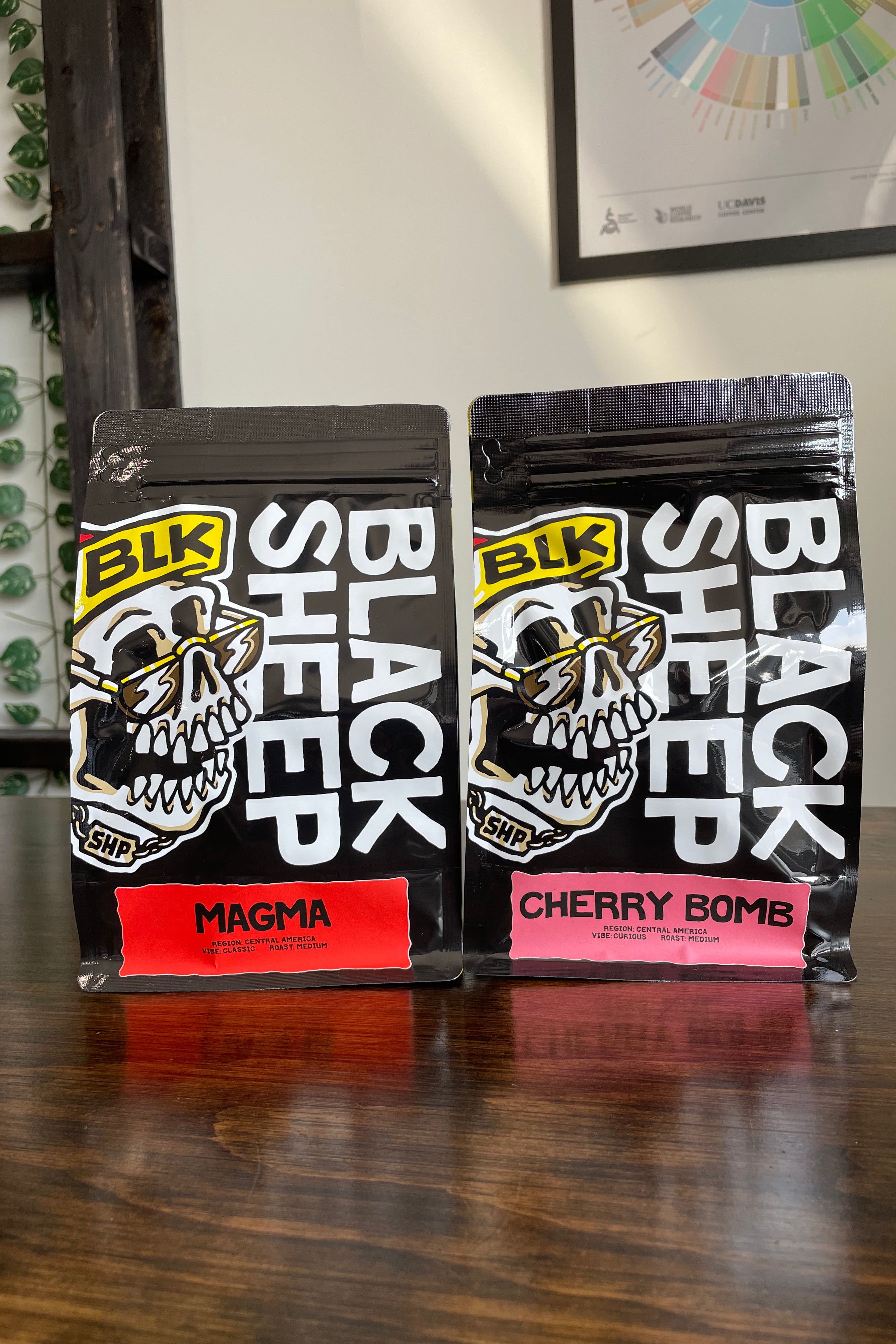 2 Bag Coffee Subscription (2x300g)