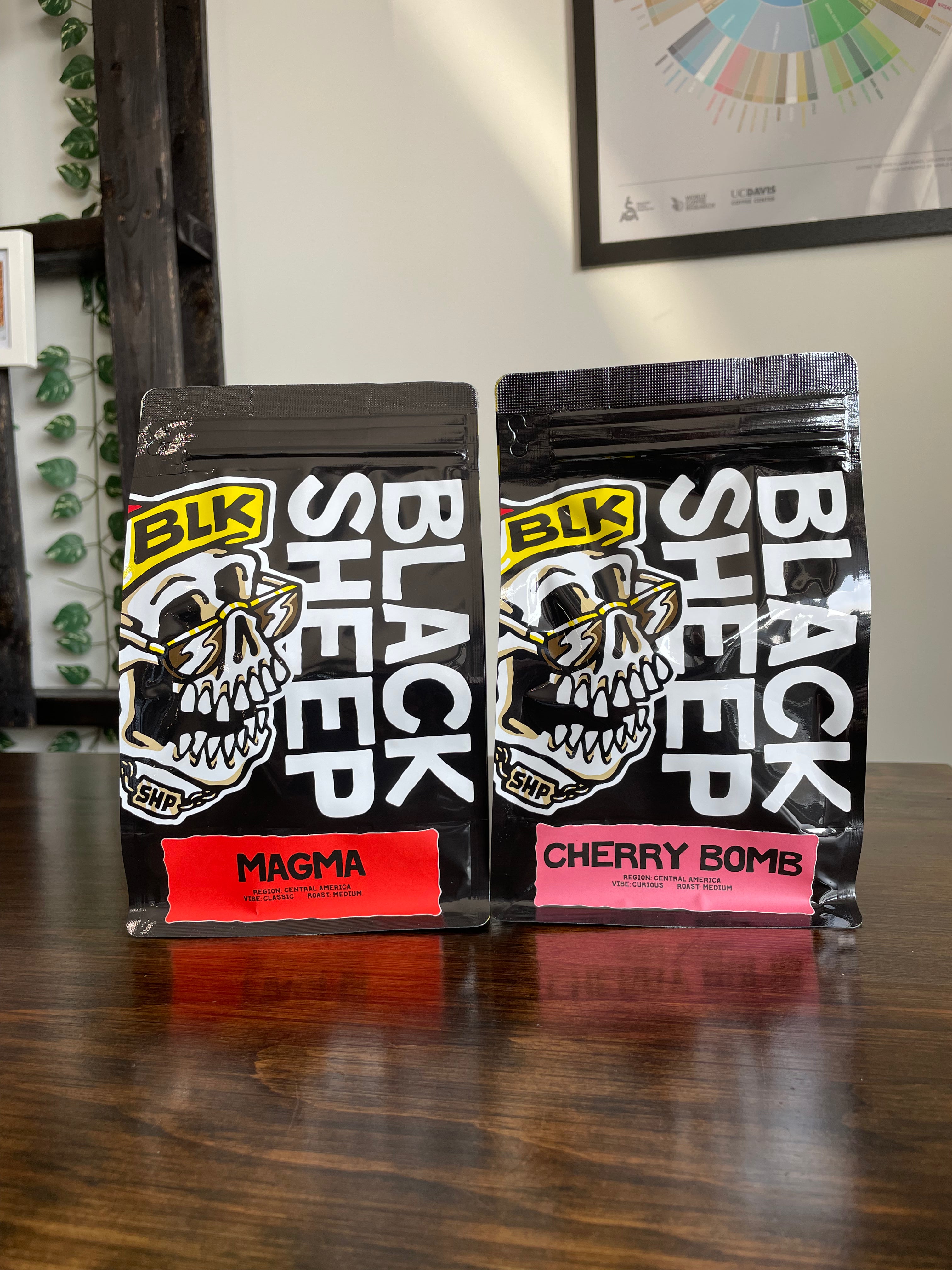 2 Bag Coffee Subscription (2x300g)