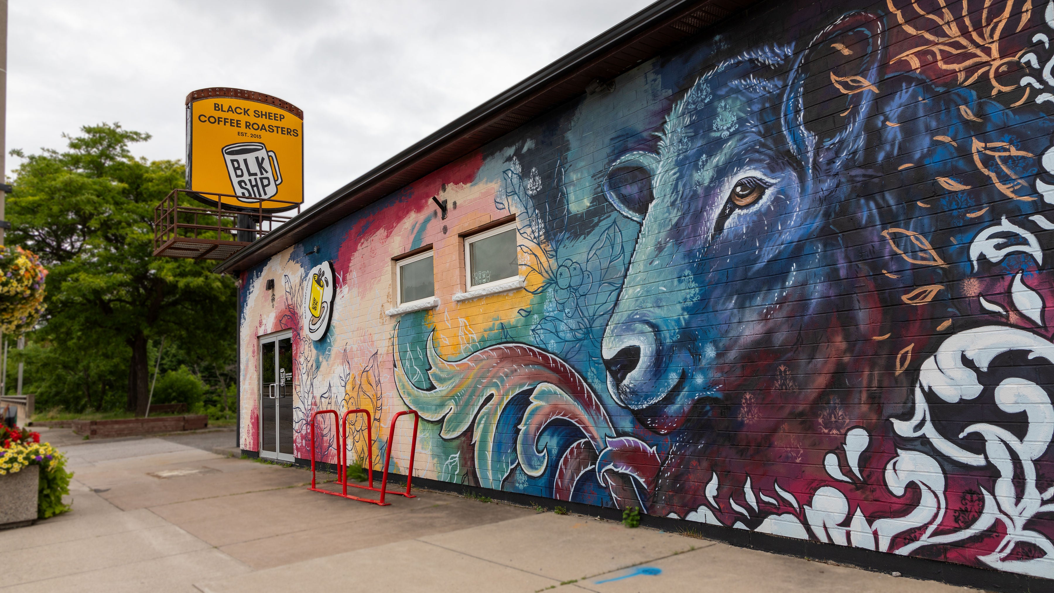 Bda37961 8749 4d49 9c0f cb32e4c21f33